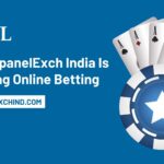 How AllpanelExch India